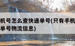 只有手机号怎么查快递单号(只有手机号怎么查快递单号物流信息)