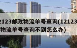 12123邮政物流单号查询(12123邮政物流单号查询不到怎么办)