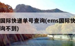 ems国际快递单号查询(ems国际快递单号查询不到)