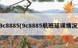 9c8885(9c8885航班延误情况)