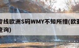 欧亚专线欧洲S码WMY不知所措(欧亚专线单号查询)