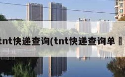 tnt快递查询(tnt快递查询单叿)