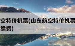 山东航空特价机票(山东航空特价机票退票扣多少手续费)