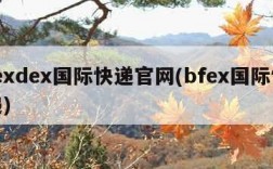 fexdex国际快递官网(bfex国际快递)