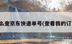 怎么查京东快递单号(查看我的订单)