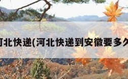 河北快递(河北快递到安徽要多久)