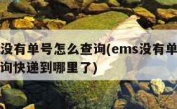 ems没有单号怎么查询(ems没有单号如何查询快递到哪里了)