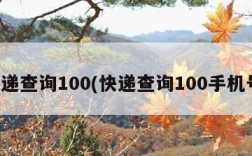 快递查询100(快递查询100手机号)