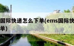 ems国际快递怎么下单(ems国际快递网上下单)