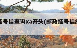 邮政挂号信查询xa开头(邮政挂号信编号怎么查)