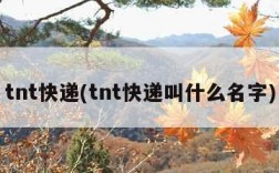 tnt快递(tnt快递叫什么名字)