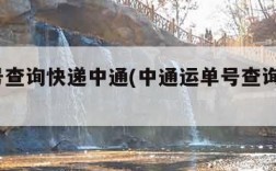 运单号查询快递中通(中通运单号查询快递100)