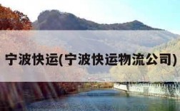 宁波快运(宁波快运物流公司)