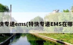 特快专递ems(特快专递EMS在哪寄)