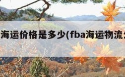 fba海运价格是多少(fba海运物流公司)