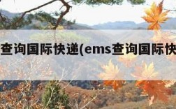 ems查询国际快递(ems查询国际快递单号)