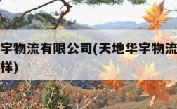 天地华宇物流有限公司(天地华宇物流有限公司怎么样)