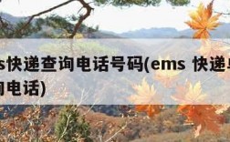 ems快递查询电话号码(ems 快递单号查询电话)