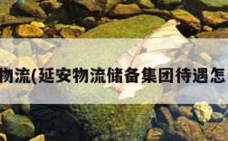 延安物流(延安物流储备集团待遇怎么样)