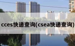 cces快递查询(csea快递查询)