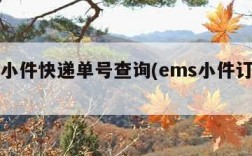 ems小件快递单号查询(ems小件订单查询)