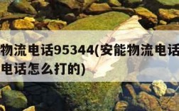 安能物流电话95344(安能物流电话人工客服电话怎么打的)