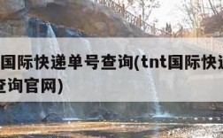 tnt国际快递单号查询(tnt国际快递单号查询官网)