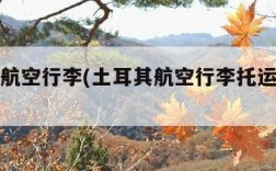 土耳其航空行李(土耳其航空行李托运规定最新)