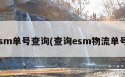 esm单号查询(查询esm物流单号)