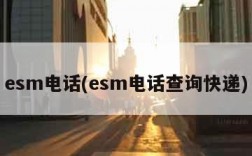 esm电话(esm电话查询快递)