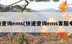 快递查询ems(快递查询ems客服电话)