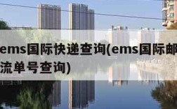 邮政ems国际快递查询(ems国际邮政速递物流单号查询)