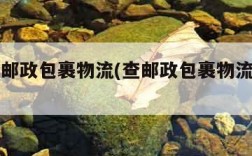 怎么查邮政包裹物流(查邮政包裹物流在哪里查)