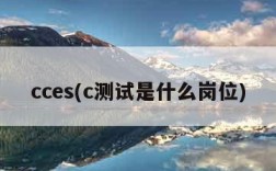 cces(c测试是什么岗位)