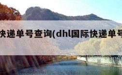 国际快递单号查询(dhl国际快递单号查询)