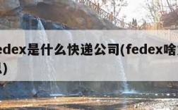 fedex是什么快递公司(fedex啥意思)