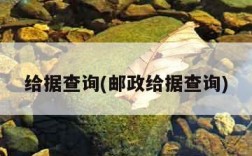 给据查询(邮政给据查询)