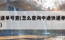 中通速递单号查(怎么查询中通快递单号看物流信息)