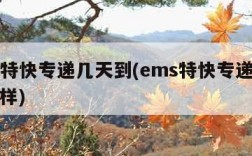 ems特快专递几天到(ems特快专递速度怎么样)