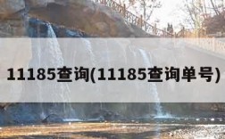 11185查询(11185查询单号)