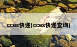 cces快递(cces快递查询)