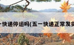 五一快递停运吗(五一快递正常发货吗)